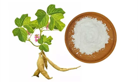What is puerarin powder? Sources, Benefits, and Applications